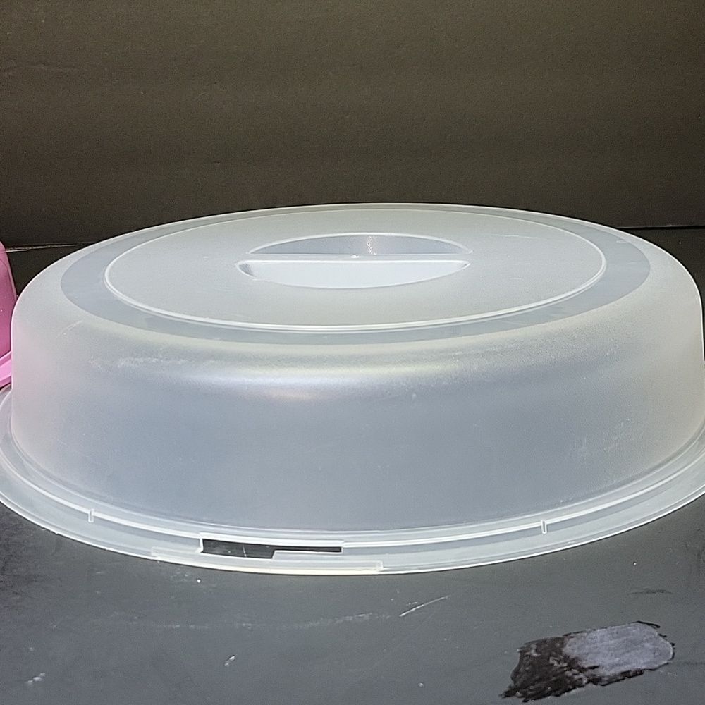 VTG Rubbermaid Servin Saver 12" Round Vegetable Fruit Dip Tray 0259 Pink Rose - Picture 7 of 15